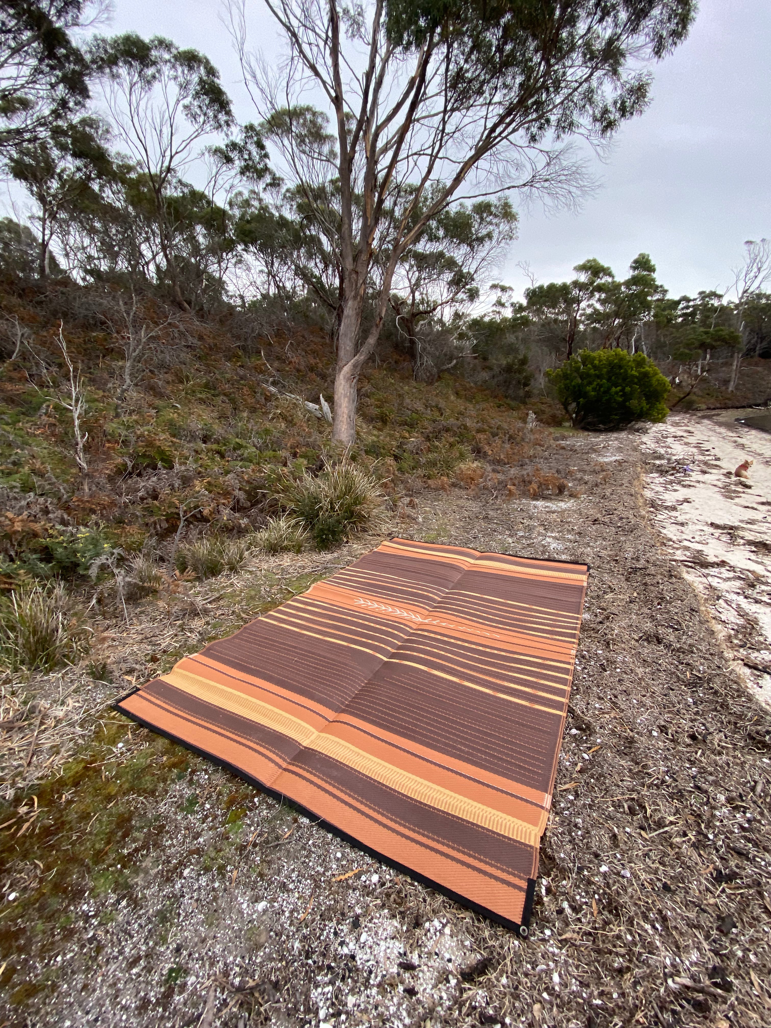 THE WANDERER CAMPING MAT