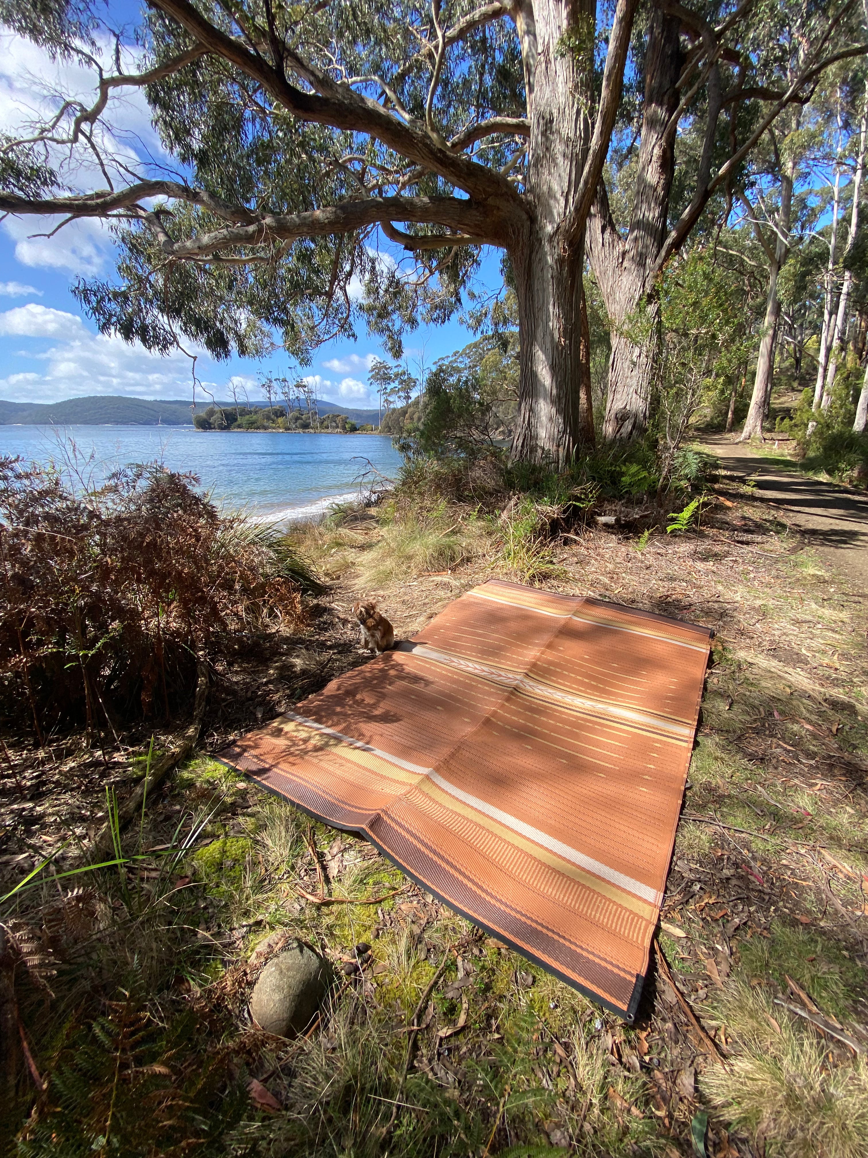 THE WANDERER CAMPING MAT