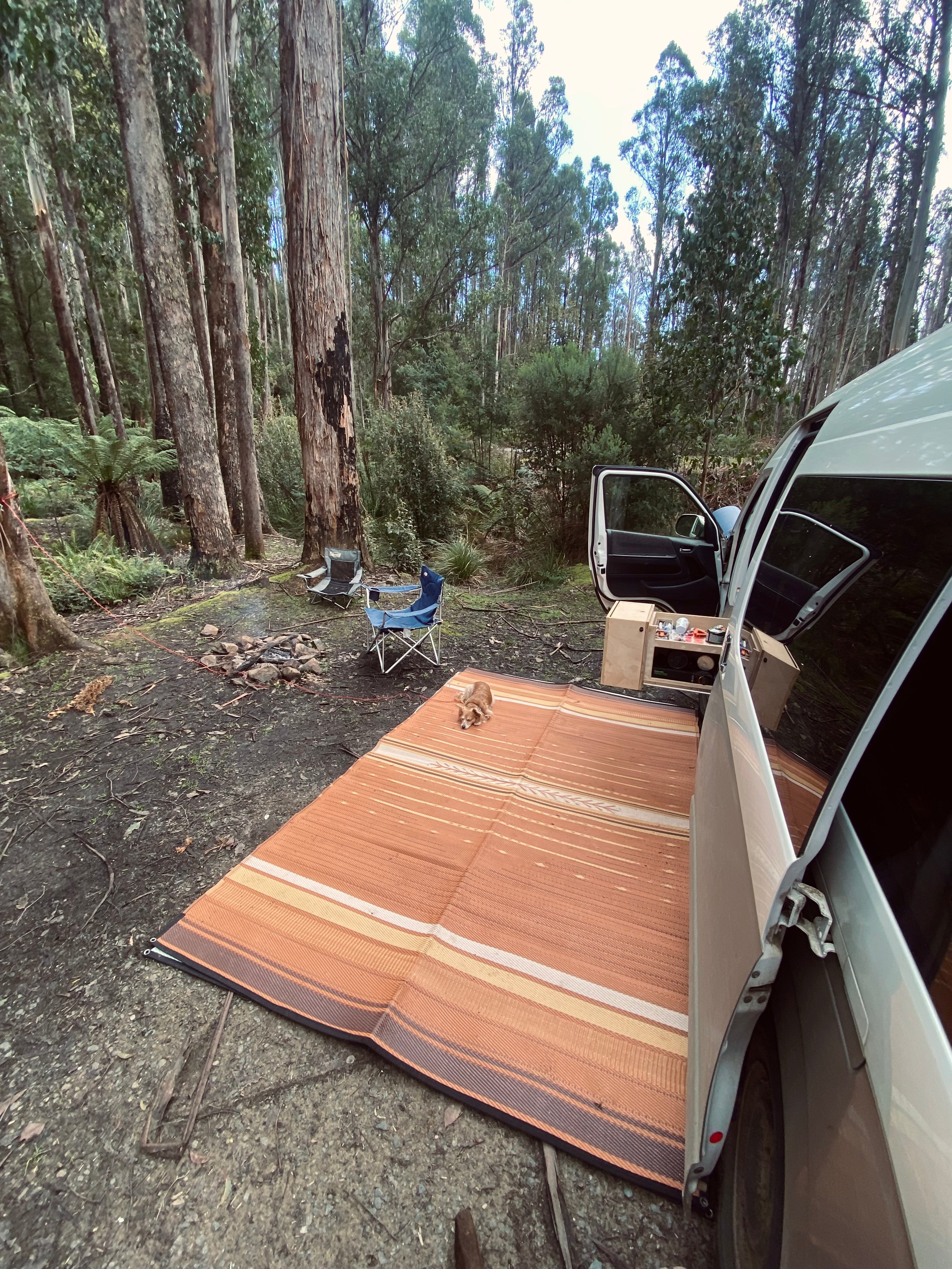 THE WANDERER CAMPING MAT